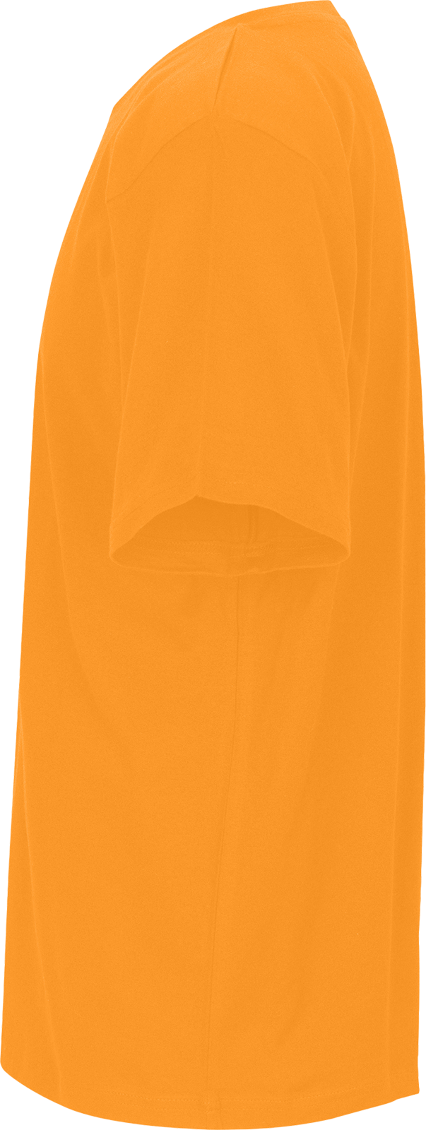 Unisex Regular T-Shirt