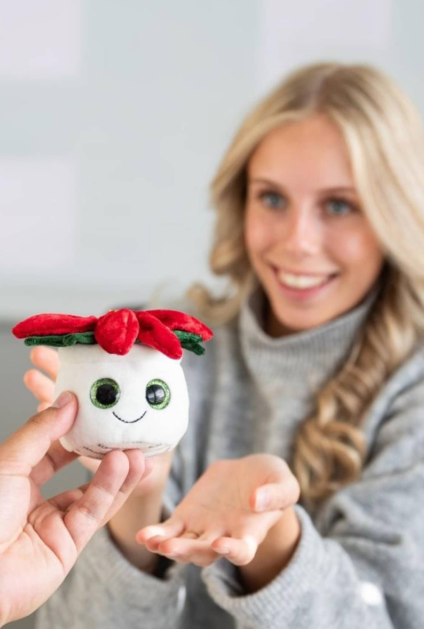Schmoozies® Evergreenies® Weihnachtsstern