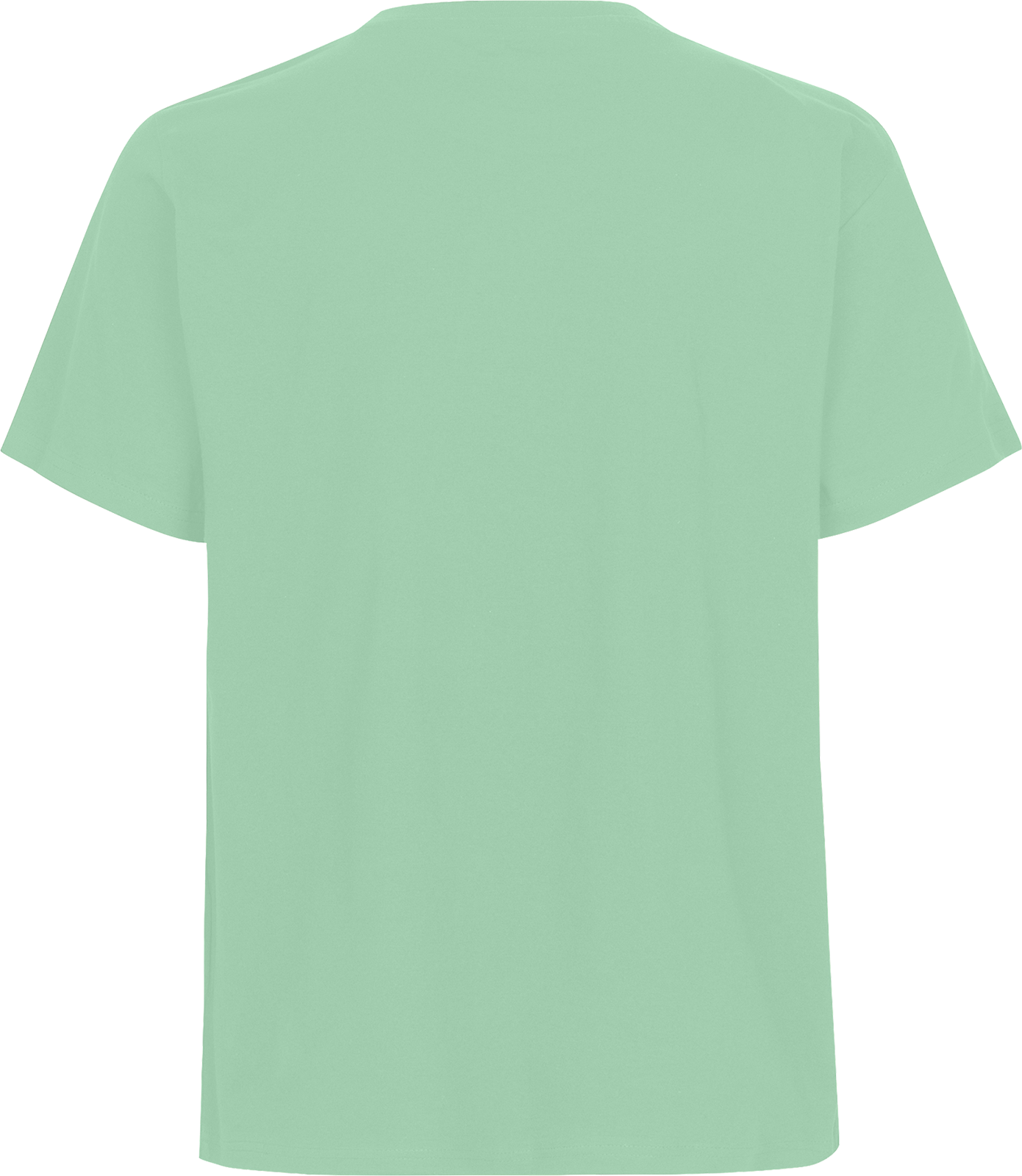 Unisex Regular T-Shirt