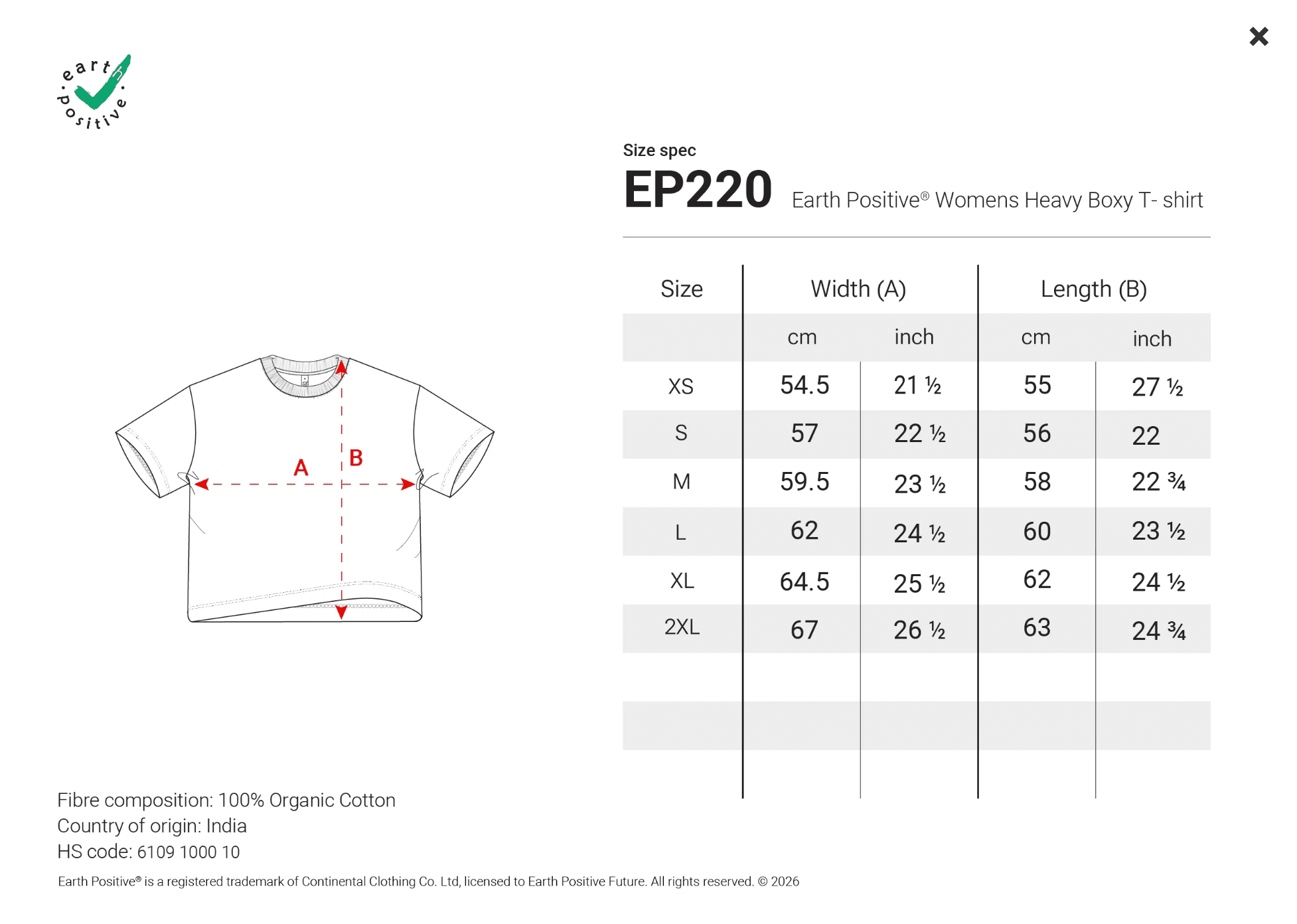 Women’s Heavy Boxy T-Shirt