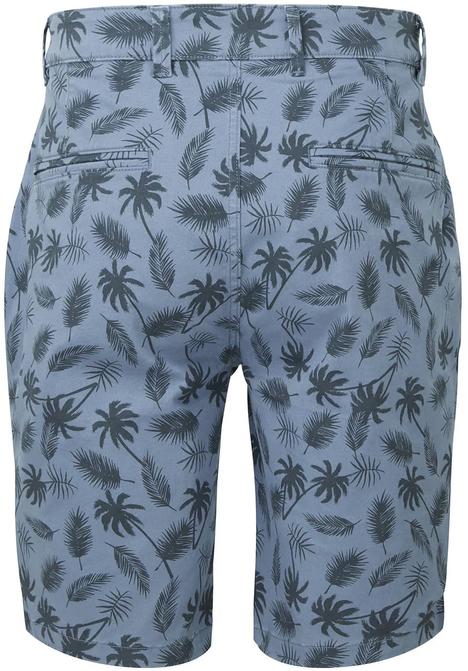 Men´s Palm Print Shorts