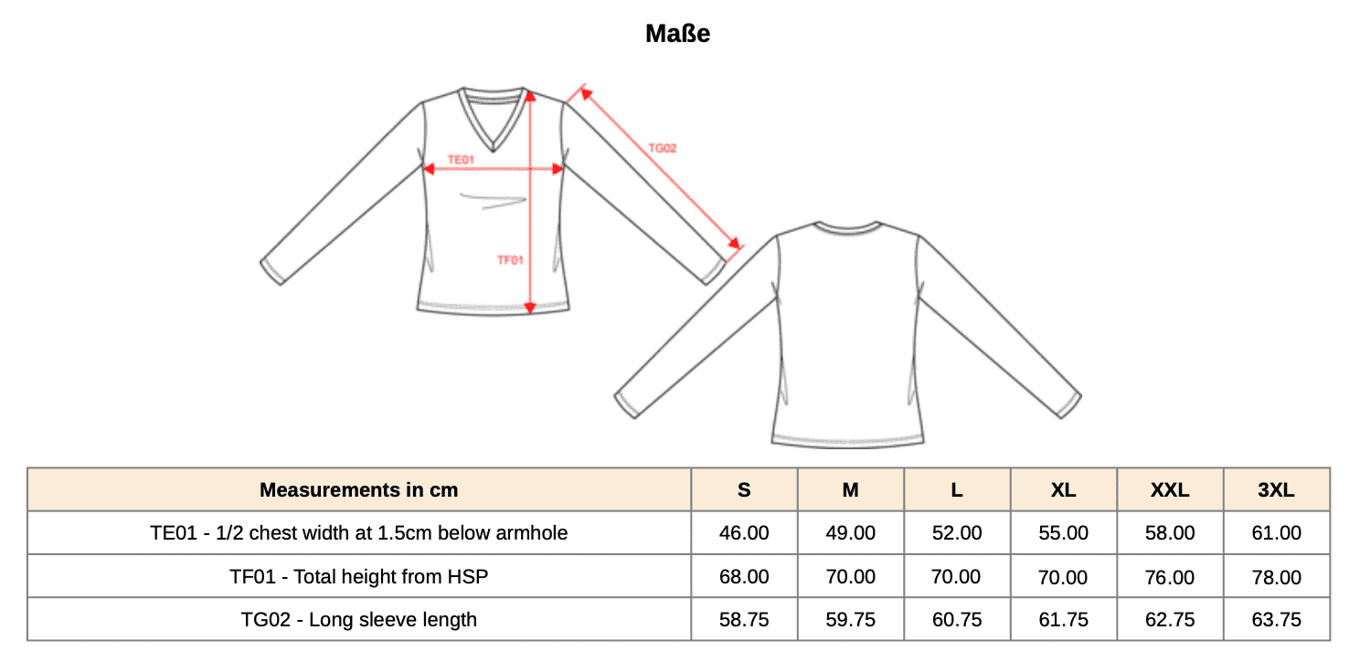 Ladies` Longsleeve V-Neck T-Shirt