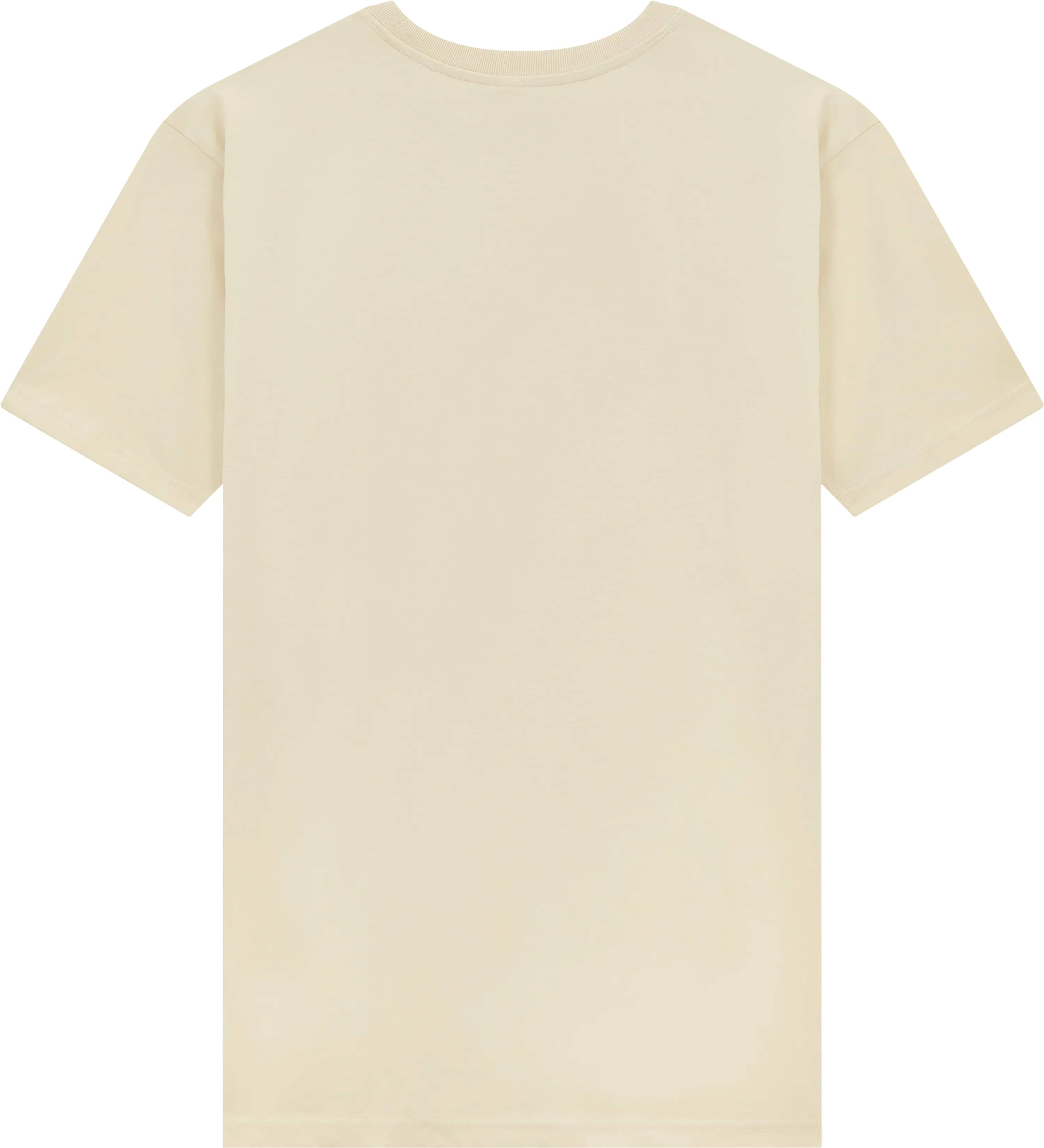Unisex Organic Heavy Oversized T-Shirt