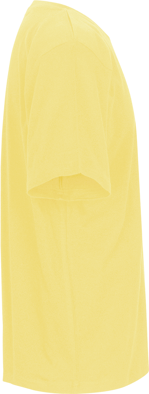 Unisex Regular T-Shirt