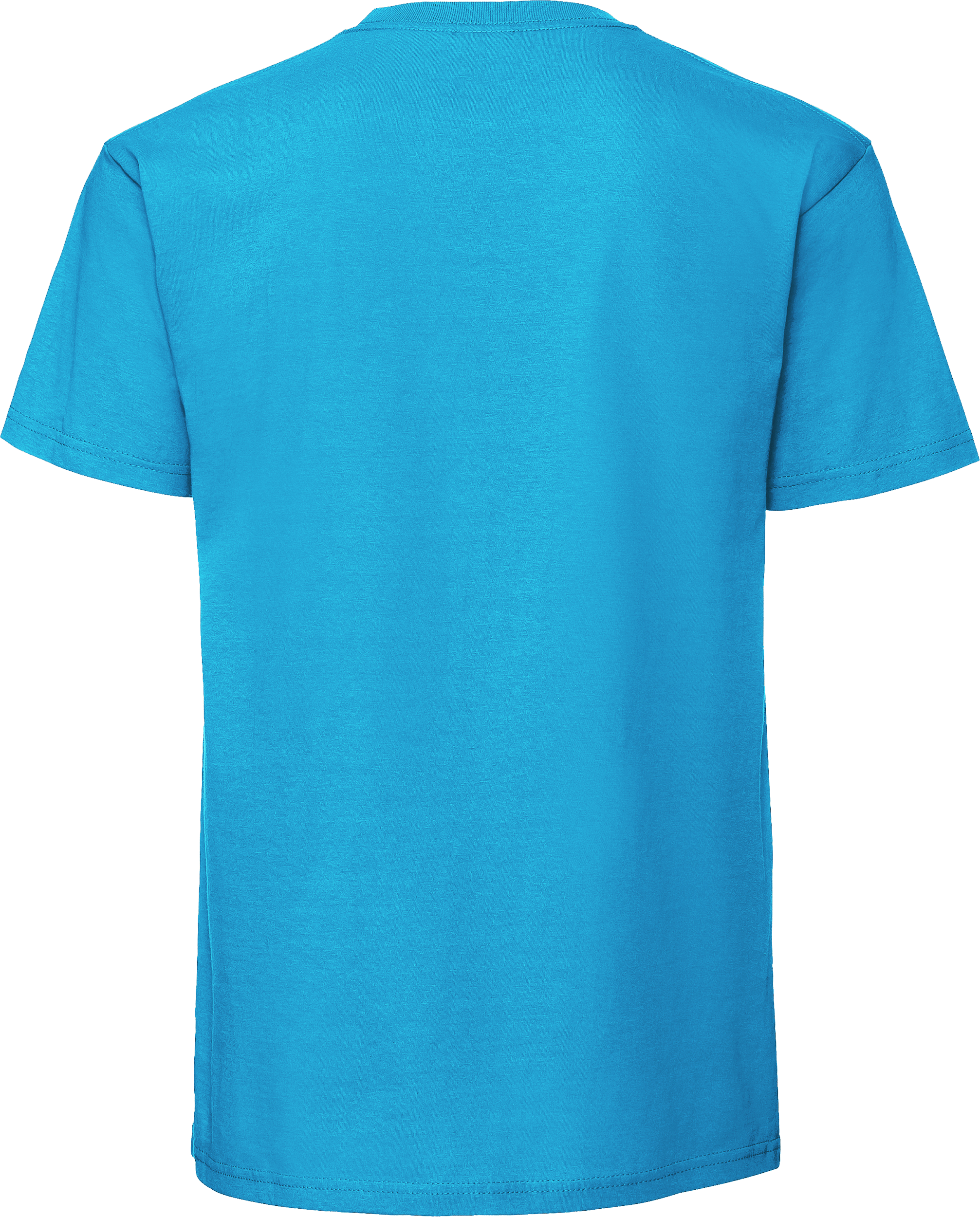 Iconic 195 Ringspun T