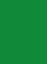 Polyneon 40 Green (5.000 m)