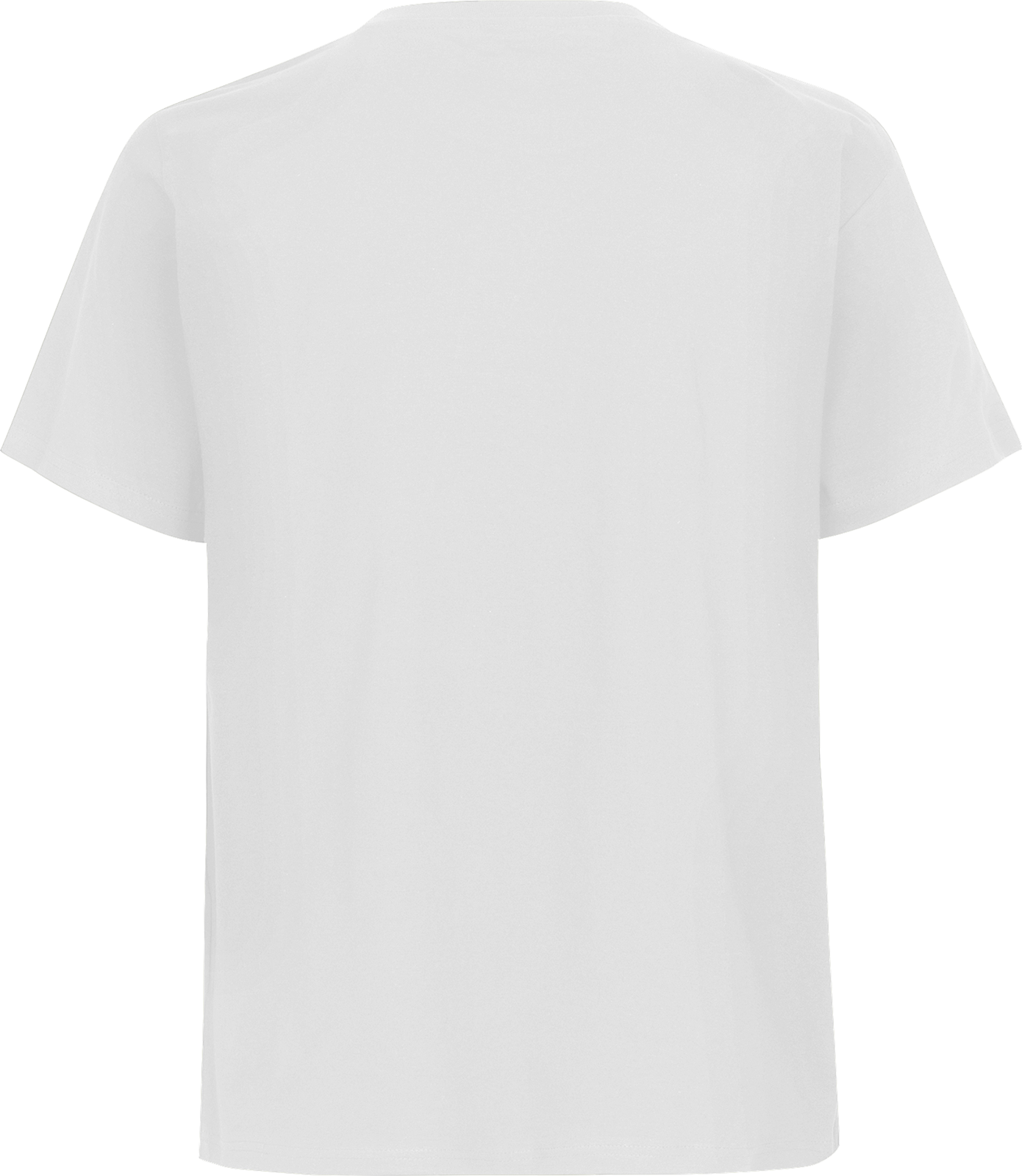 Unisex Regular T-Shirt