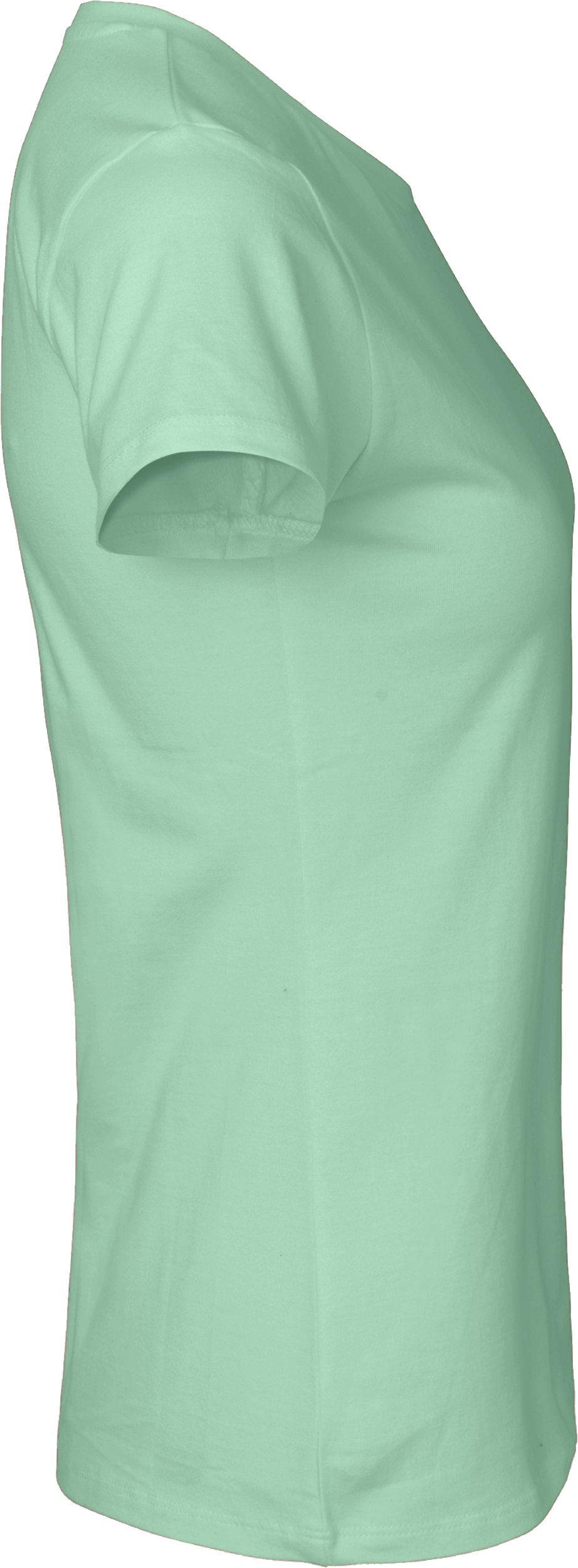 Ladies´ Classic T-Shirt