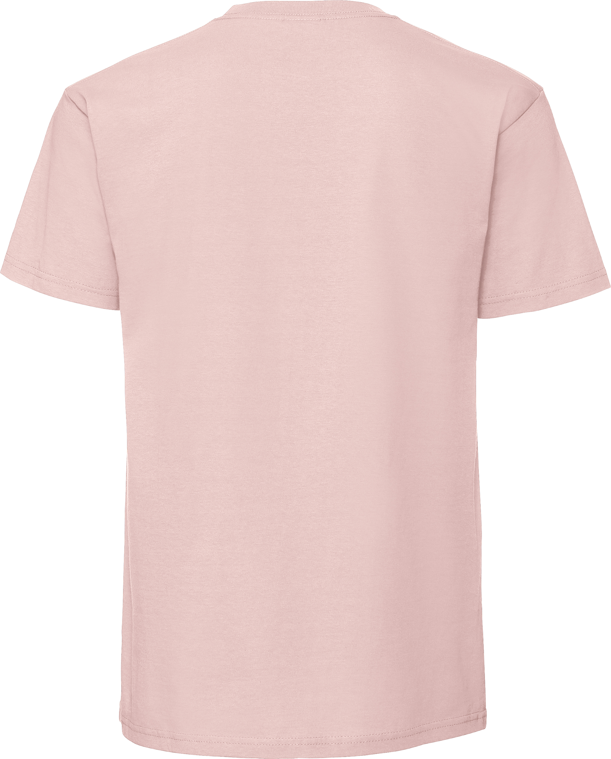 Iconic 195 Ringspun T