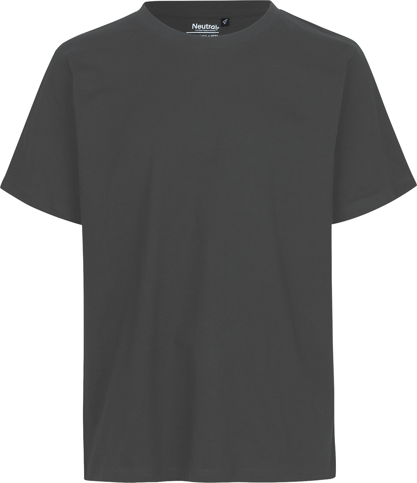 Unisex Regular T-Shirt