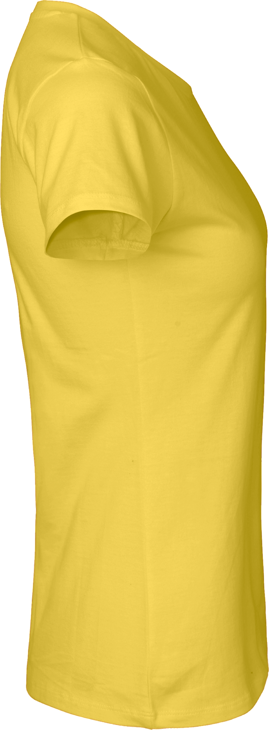 Ladies´ Classic T-Shirt