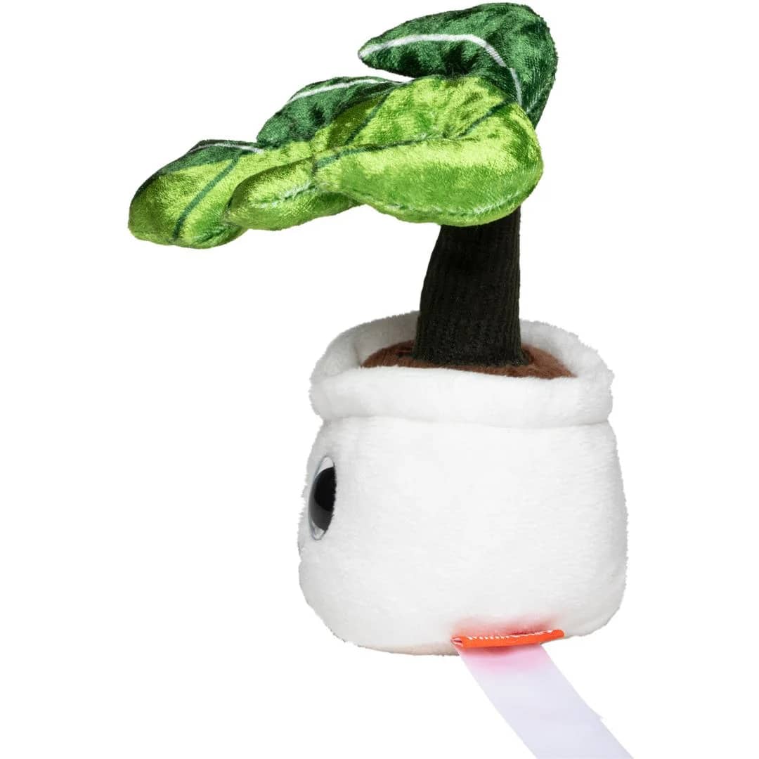 Schmoozies® Evergreenies® Monstera