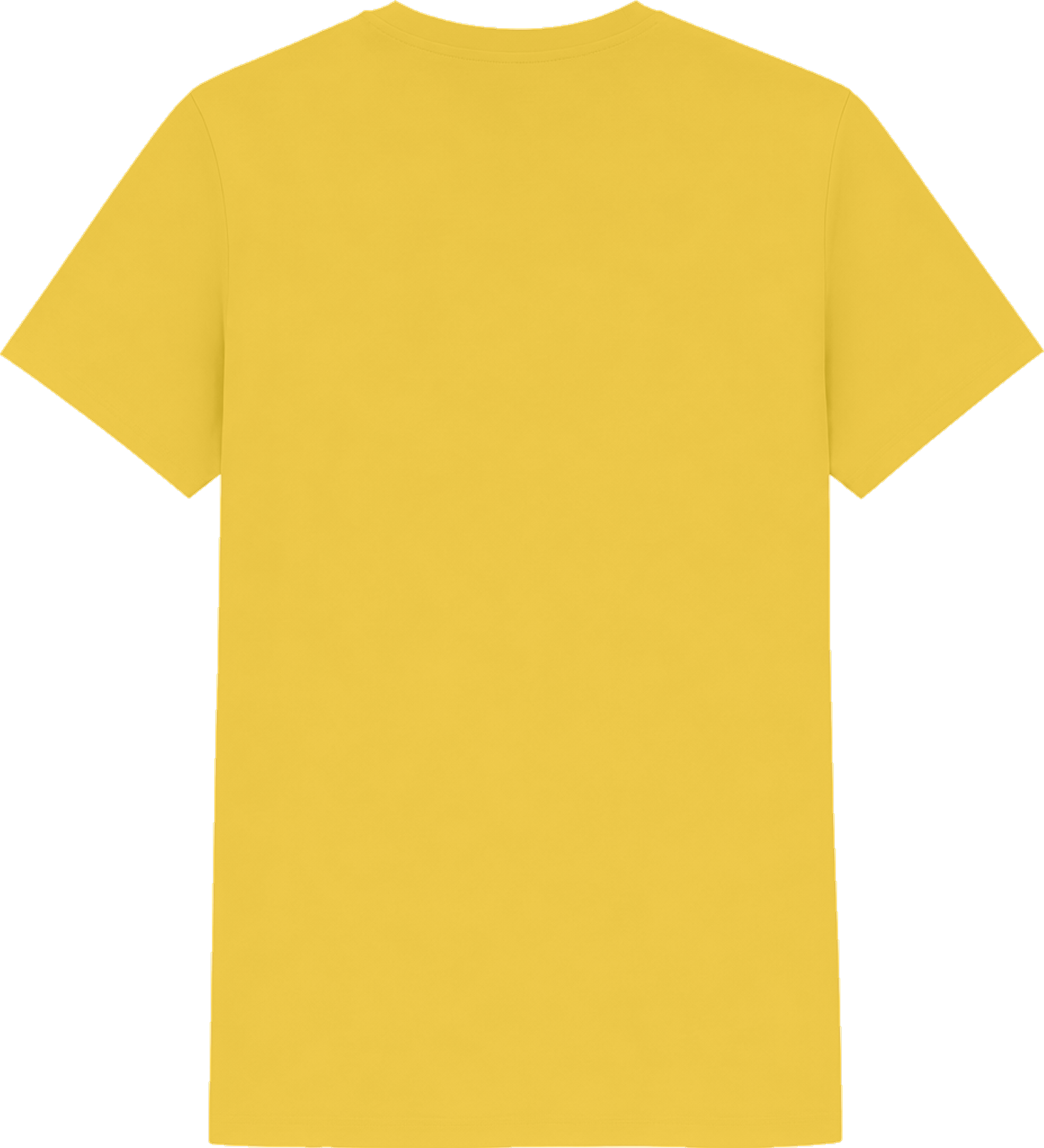 Heavy Cotton™ Women´s T-Shirt