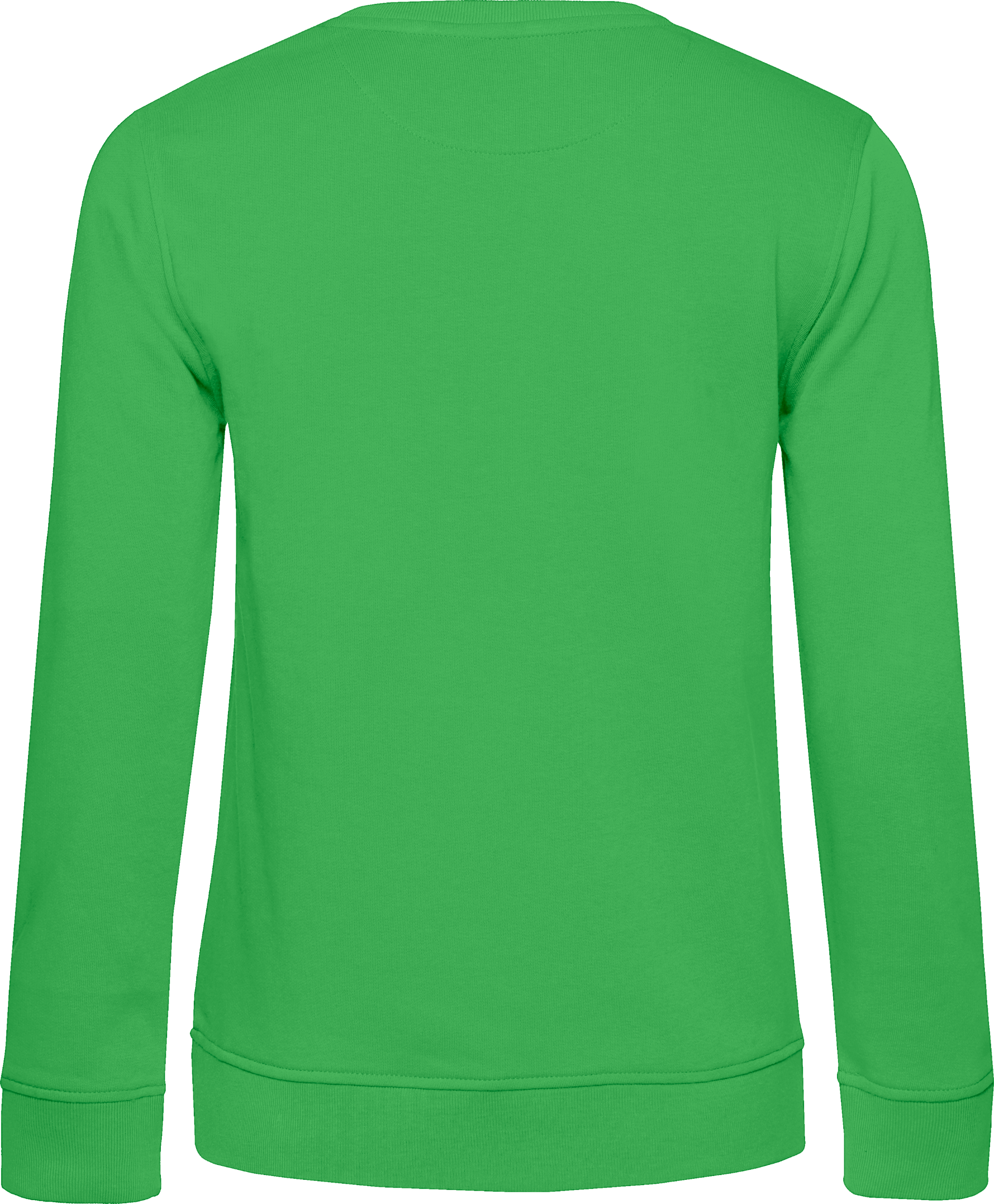 Inspire Crew Neck Sweat /Women_°
