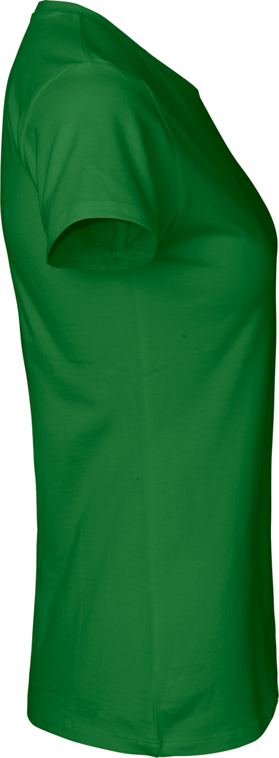 Ladies´ Classic T-Shirt