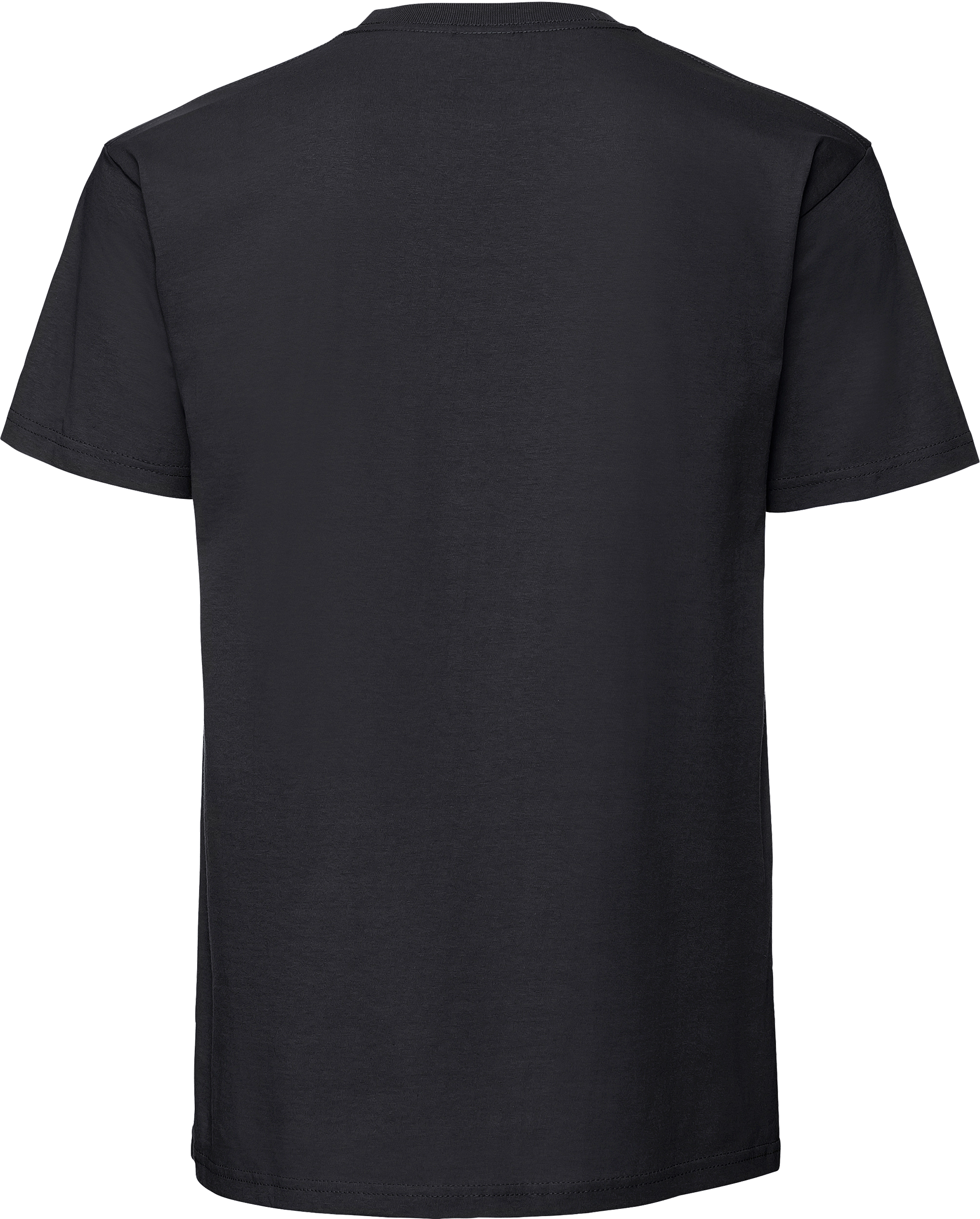 Iconic 195 Ringspun T