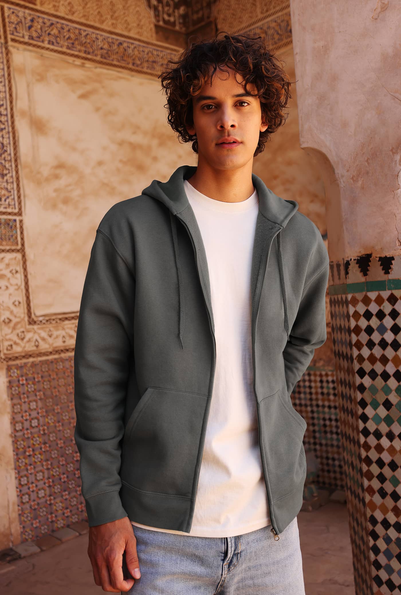 Iconic Premium Hooded Sweat Jacket