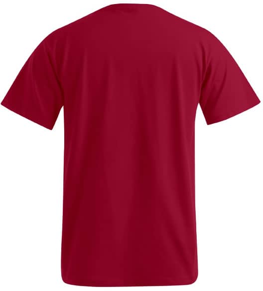 Men´s Premium-T